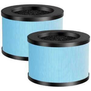 Air Filter Replacement (SRD 650,-)