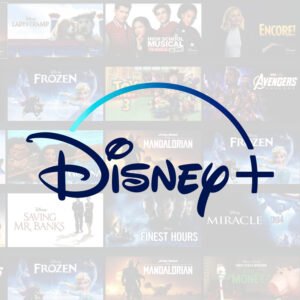 Disney+ Account