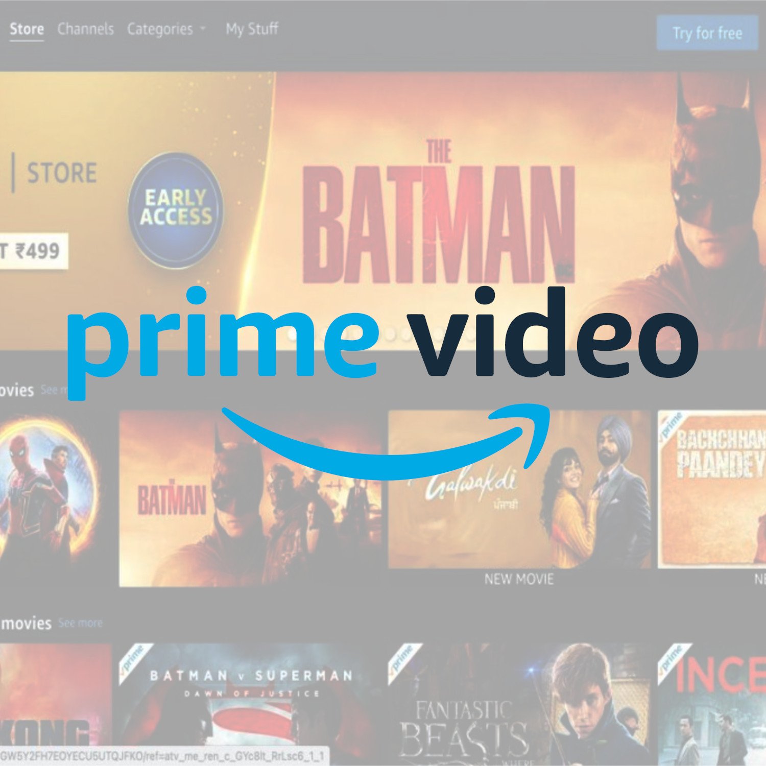 Prime Video Account